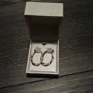 Taylor Grace gold hoop earrings